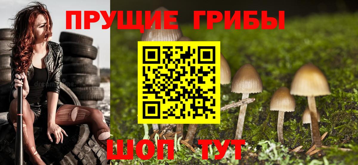 Галлюциногенные грибы Magic Shrooms Красный Сулин