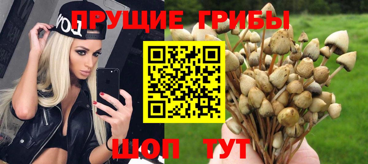 Псилоцибиновые грибы Magic Shrooms  Вход с VPN  Псилоцибиновые грибы Psilocybe  Красный Сулин 